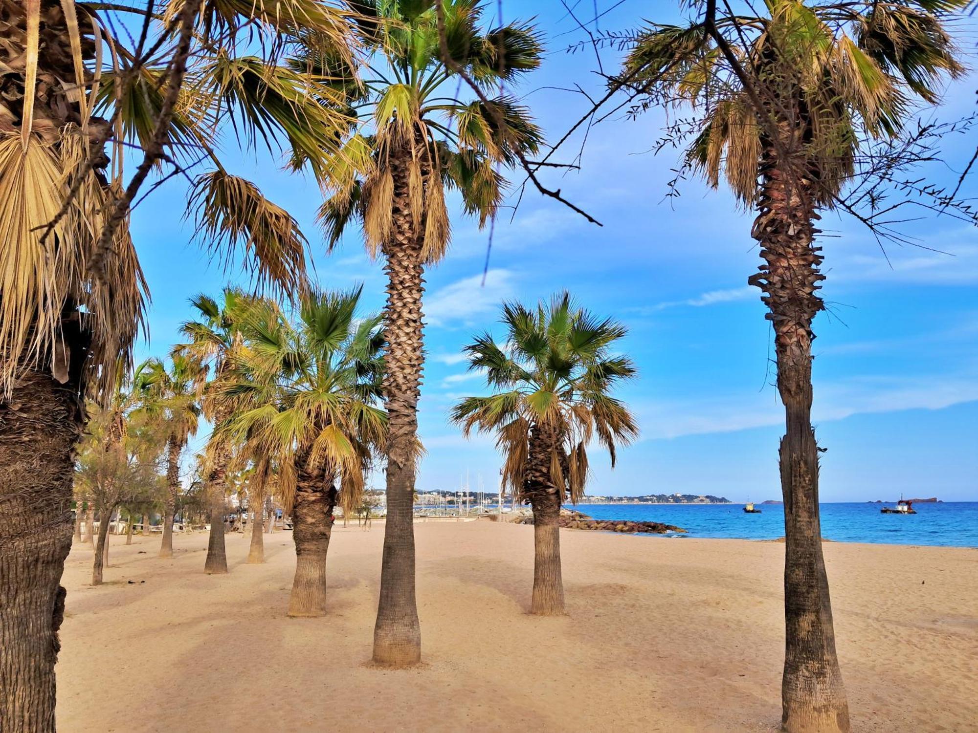 Appartement T3-base Nature-plages-clim-wifi *
